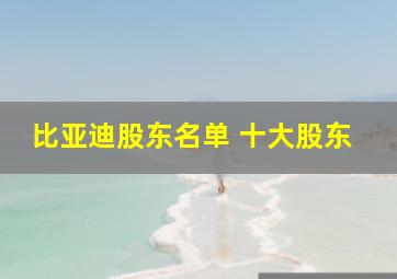 比亚迪股东名单 十大股东